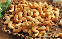 Các nhà máy chế biến hạt điều trong nước đang thiếu nguyên liệu