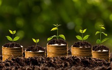 Công ty chứng khoán nhận định thị trường ngày 25/6