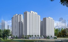 ĐHCĐ HQC: Trong 3 năm tới, đầu tư mạnh BĐS nghỉ đưỡng và nông nghiệp công nghệ cao