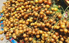 Những loại quả rẻ như cho ở nhà quê nhưng đắt đỏ ngang trái cây nhập khẩu tại Hà Nội