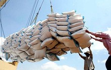 Ai cập sẽ nhập khẩu hơn 200.000 tấn gạo trong thời gian tới