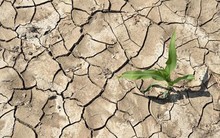 Mất gần một nửa giá trị từ khi bị thâu tóm, VNE có quay trở lại với câu chuyện mang tên “tái cấu trúc các tài sản ngầm”?