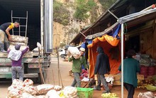 Nông sản Đà Lạt bị nông sản Trung Quốc lấn ép ngay trên sân nhà