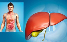 TS Mỹ tiết lộ công thức quét sạch độc tố ở gan chỉ trong 24 giờ rất phù hợp với người Việt