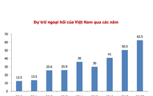 Dự báo về tỉ giá giá cuối năm 2018: Tăng nhẹ tỉ giá VND/USD từ 1-1,5%