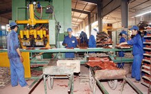 Viglacera Đông Triều: 6 tháng lãi 7,5 tỷ đồng giảm 35% so với cùng kỳ