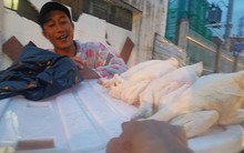 ‘Giải mã’ gà không đầu siêu rẻ tại Việt Nam