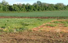 Lập hồ sơ giả xin giao đất, rút ruột ngân sách