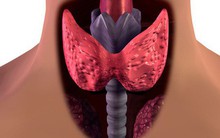 Phân biệt dấu hiệu cường giáp với suy giáp: Bỏ qua có thể nguy hiểm đến tính mạng