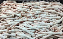 Giám sát chặt container chứa chân gà nhập từ Ba Lan nghi nhiễm khuẩn