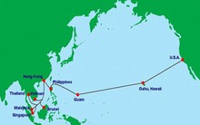 Khắc phục xong sự cố trên cáp quang biển AAG vào ngày mai 19/7