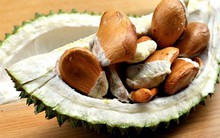 Vì sao hạt sầu riêng lên cơn sốt, bán đắt hơn quả?
