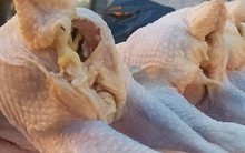 Khuyến cáo không nên mua “gà mái đẻ” 40.000 – 50.000 đồng/kg bán lề đường
