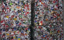 Phế liệu nhập khẩu vào Việt Nam phải đáp ứng 3 điều kiện