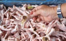 Chân gà Ba Lan liệu có tràn ra... quán nhậu?