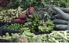 Giá rau củ ở Hà Nội rục rịch tăng do mưa lớn kéo dài