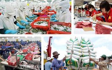 Doanh nghiệp “khát” lao động chuyên môn cao