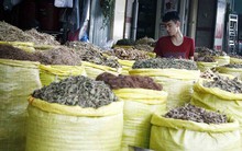 Thị trường dược liệu: Vẫn còn ‘vàng thau lẫn lộn’