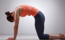 Gợi ý 3 bài tập đơn giản chữa trị đau lưng khi ngồi quá lâu