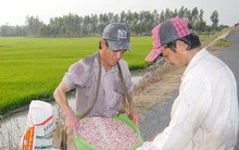 Sản xuất, kinh doanh phân bón kém chất lượng ngày càng tinh vi