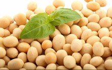 Vì sao Tổng thống Mỹ Trump phải dè chừng thuế đậu nành của Trung Quốc?