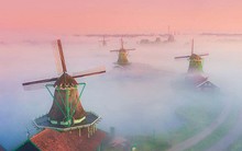 Làng cối xay gió ở Hà Lan chìm trong sương mù huyền ảo như cổ tích