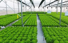 Bãi bỏ một loạt phí, lệ phí trong lĩnh vực nông nghiệp