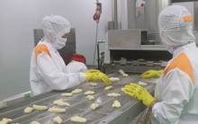 Thịt heo, gà Việt tự tin xuất ngoại