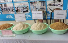 Xuất khẩu nông lâm thủy sản 7 tháng đạt hơn 22 tỷ USD