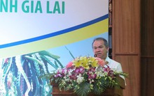 HAGL Agrico mới bán được chưa đầy 0,01% lượng trái phiếu chuyển đổi chào bán