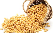 Hạt đậu tương nhỏ bé và đòn trừng phạt khiến cả Mỹ và Trung Quốc cùng chịu tổn hại