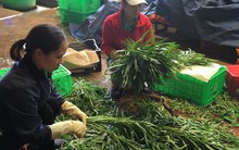 TP HCM nhập nông sản, "nhập" luôn hàng trăm tấn rác mỗi đêm