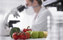 Cây trồng biến đổi gen mang lại lợi ích lâu dài cho nông nghiệp Việt?