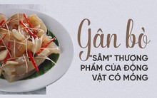 Món ăn đặc biệt được xem là 'sâm' thượng phẩm trong nhóm thịt động vật: Bạn ăn thử chưa?