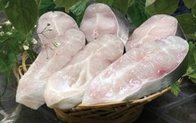 Thủy sản Cửu Long An Giang (ACL): LNTT 6 tháng đạt 61 tỷ đồng, vượt 74% mục tiêu cả năm 2018