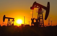 Triển vọng giá dầu tuần 13 – 17/8: Lo ngại yếu tố 'gấu' khi giá dầu đã giảm nhiều tuần liên tiếp