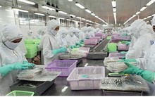 Cắt giảm ĐKKD: Giảm gánh nặng hành chính, đảm bảo cạnh tranh công bằng