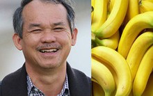 Thu về 3.800 tỷ từ trái phiếu, HAGL Agrico vừa tăng hơn 1.000 ha trồng chuối