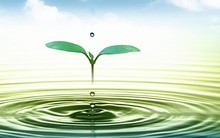 Thêm một doanh nghiệp sắp phát hành cổ phiếu thưởng tỷ lệ 100%