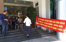 Rã rời những 'cánh chim' Cienco