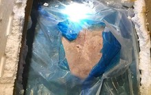 Thu giữ hơn 1,5 tấn mỡ động vật bốc mùi vận chuyển trên xe khách