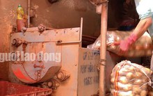 VIDEO: "Vạch mặt" chiêu trò phù phép nông sản Trung Quốc nhái Đà Lạt