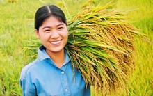 Chính thức ‘cởi trói’ cho xuất khẩu gạo