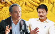 Thaco muốn tăng sở hữu tại HAGL Agrico lên gần 29%