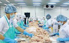 Công nghiệp 4.0: Làm ngay, nếu không sẽ “lỡ tàu”!