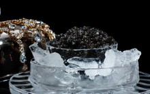 "Hạt ngọc trai của biển cả": Món ăn xa xỉ chỉ dành cho giới đại gia