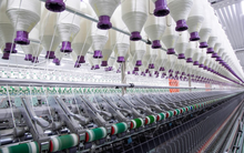 Fortex (FTM): Trưởng BKS đăng ký mua thêm 5 triệu cổ phiếu