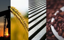 Thị trường ngày 10/11: Giá dầu, vàng tiếp tục lao dốc