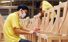 Tăng 22% lỗ ròng nửa đầu năm lên hơn 685 tỷ sau soát xét, Gỗ Trường Thành (TTF) nói gì?