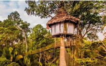 Được hàng triệu du khách bình chọn, dưới đây là 6 khách sạn độc đáo nhất hành tinh với mức giá đầy bất ngờ